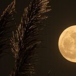 Countdown to the Full Moon
