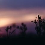 Soulful Solstice