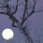In the Time of the Cold Moon