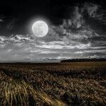 Reflections on a Libra Moon