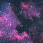 Mercury in the Cusp
