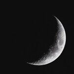 The Snow Moon