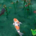 Season of the Fish