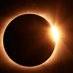 The Totality