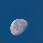 Incrementally Becoming