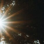Solar Homecoming