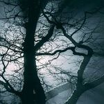 In the Light of the Sturgeon Moon