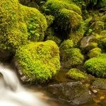 Earth Sign Trine Lends Luck for Starting Habits