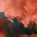 A Retrograde Campaign