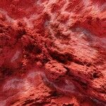 Mars Enters Cancer