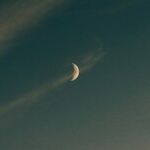 A Vengeful Solar Opposition