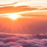 Mercury Lights the Spectrum of Survival