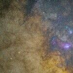 Thanksgiving Served with a Soulful Lunar Trine