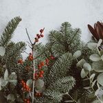 Tidings of Comfort and Joy