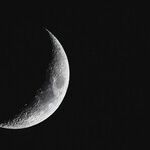 Appetite Moon on Fat Tuesday