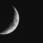 Question for the New Moon