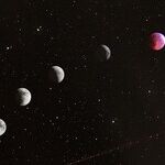 Lunar Levity