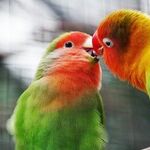 On International Kissing Day