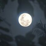 A Question from the Moon