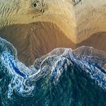Love in a Tide Pool