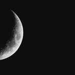 New Moon in Leo