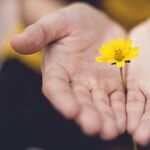 Saturn's Hope