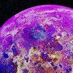 New Moon Remix