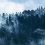 Thoughts in a Dark Time