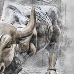 When Banks -- And Other Institutions -- Try to Change the World