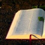A Biblical Law That Would Change American Life