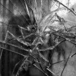 Democrats' Response to Minneapolis Chaos Could Be to Their Detriment