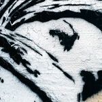 The West's Terminal Radical Islam Denial Syndrome