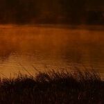 The Grisly History of Chappaquiddick