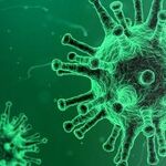 Coronavirus Is the 'Chinese Virus'