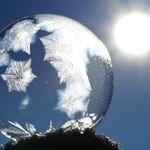 The Nation in the Bubble