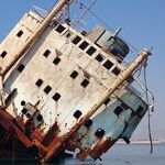 An 'Abundance of Caution' Mentality Leads to Tyranny