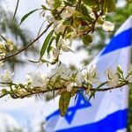 Palestinian Arab Terrorism and The West's Moral Apathy