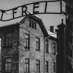Notes From Auschwitz