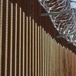 So Much for the Murderers and Rapists ...