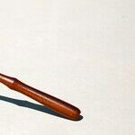Dr. Fauci's Good Lawyers