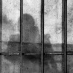 The Murdering Mother