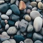 The Stumbling Stones