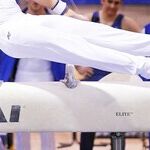 The Olympic Spirit?