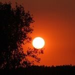 Living in the Twilight