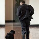 Saying Goodbye to Obama