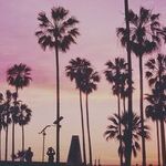 Taking Back the Venice Boardwalk