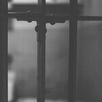 17 Years in Prison for a Crime She Did Not Commit