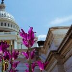 Dear Republicans, About What Matters