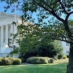 Abortion on the Ballot