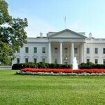 The Campaign of a Thousand Leaks